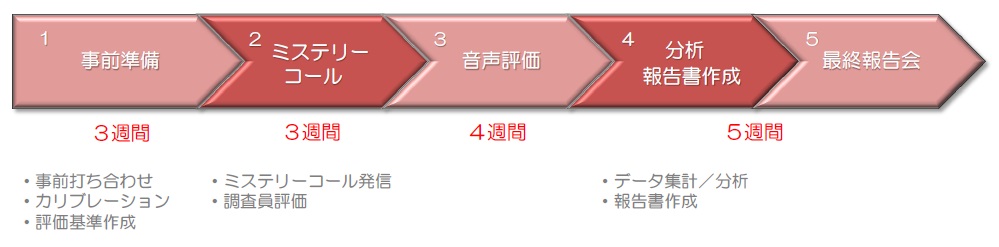 ミステリーコール、調査の視点