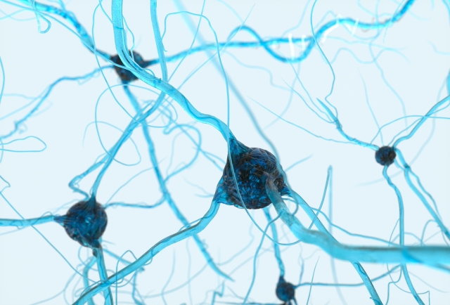 ニューラルネットワーク