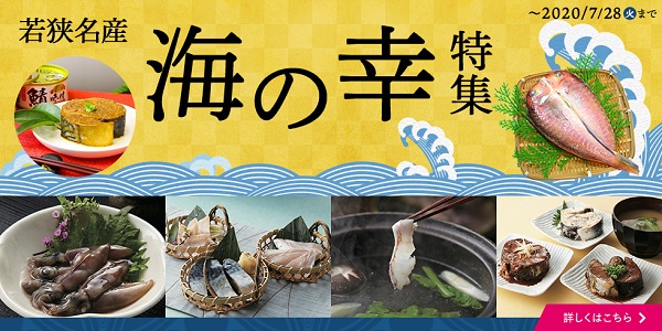 通販サイトcocochi