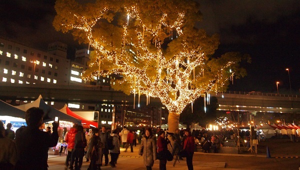 中之島バラ園のライトアップ