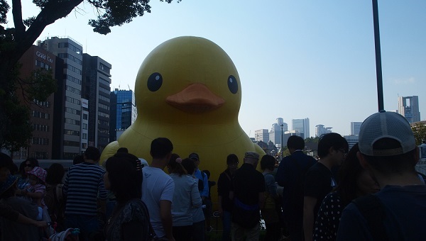 バラ園のラバーダック