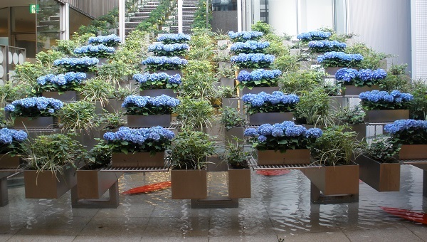 肥後橋の交差点