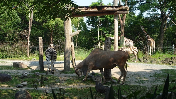 都心のオアシス