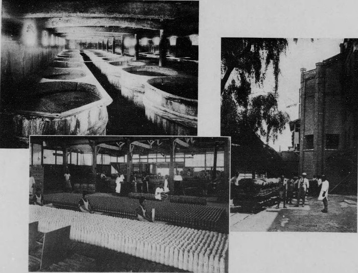 大日本麦酒株式会社・河盛醤油醸造場・大塚清酒醸造場