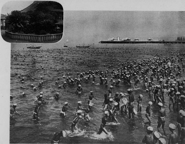 大浜公園 附 妙国寺蘇鉄